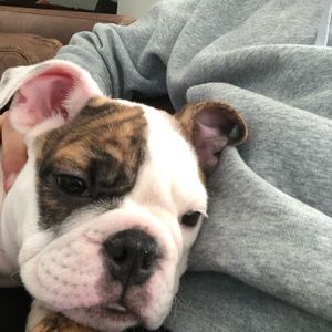 Meet your Posher, Shawn